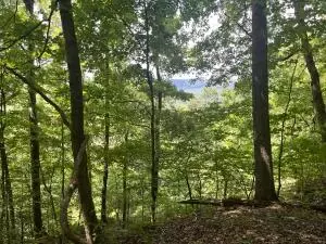 Undisclosed, Jasper, AR 72641 photo 23
