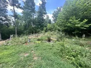 Undisclosed, Jasper, AR 72641 photo 18