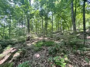 Undisclosed, Jasper, AR 72641 photo 33