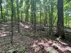 Undisclosed, Jasper, AR 72641 photo 34