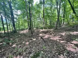 Undisclosed, Jasper, AR 72641 photo 32