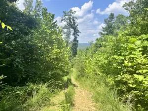 Undisclosed, Jasper, AR 72641 photo 36
