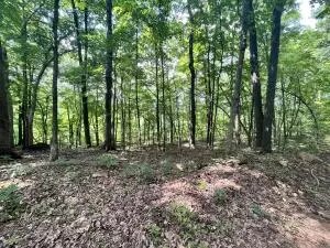 Undisclosed, Jasper, AR 72641 photo 31