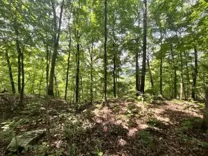 Undisclosed, Jasper, AR 72641 photo 24