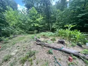 Undisclosed, Jasper, AR 72641 photo 16