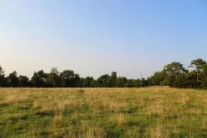 3861 Tar Kiln Rd, Harrison, AR 72601