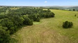 Cedar Grove Road, Lead Hill, AR 72644