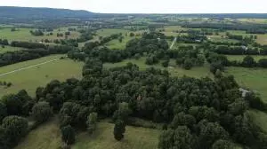 S Fork Creek Road, Harrison, AR 72601