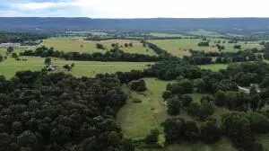 S Fork Creek Road, Harrison, AR 72601 photo 14