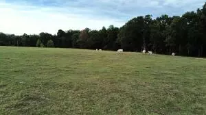 S Fork Creek Road, Harrison, AR 72601 photo 5