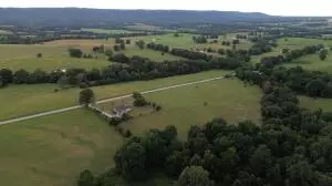 S Fork Creek Road, Harrison, AR 72601 photo 12