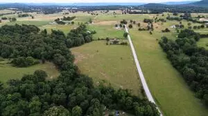 S Fork Creek Road, Harrison, AR 72601 photo 13