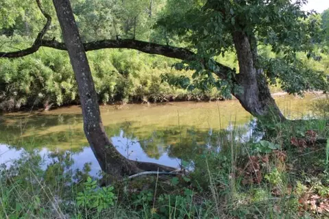 880 Marion County 6076, Yellville, AR 72687