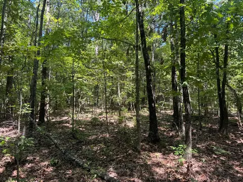 0000 Nc 3015, Jasper, AR 72641 photo 9