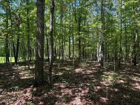 0000 Nc 3015, Jasper, AR 72641 photo 13