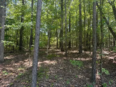 0000 Nc 3015, Jasper, AR 72641 photo 5