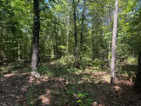 0000 Nc 3015, Jasper, AR 72641 photo 10
