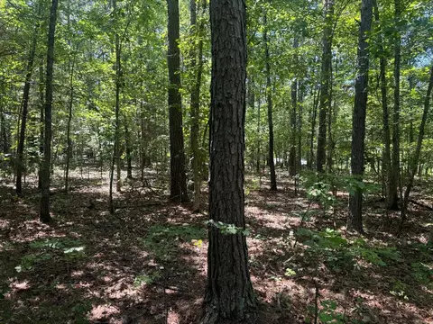0000 Nc 3015, Jasper, AR 72641 photo 4