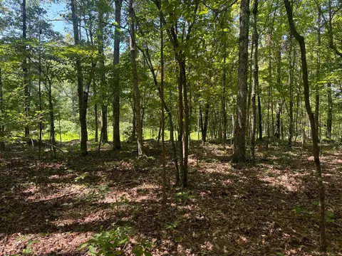 0000 Nc 3015, Jasper, AR 72641 photo 14
