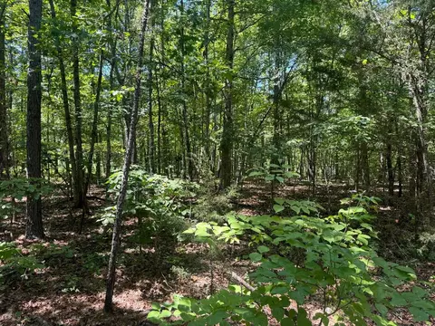 0000 Nc 3015, Jasper, AR 72641 photo 12