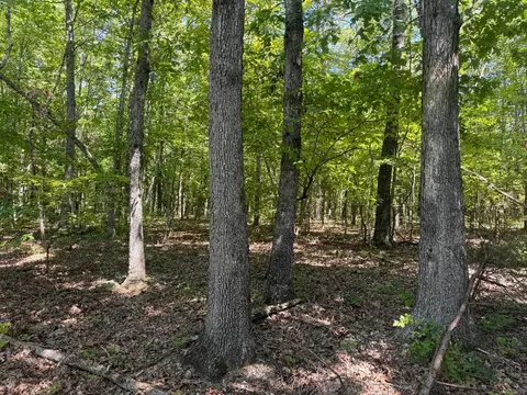 0000 Nc 3015, Jasper, AR 72641 photo 3