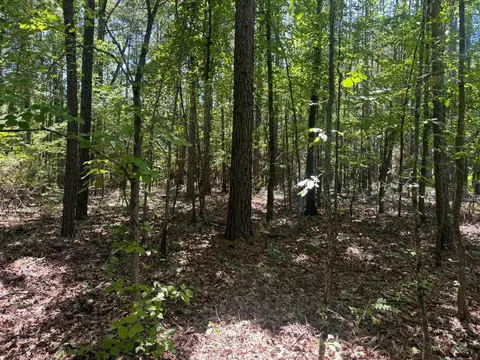 0000 Nc 3015, Jasper, AR 72641 photo 6