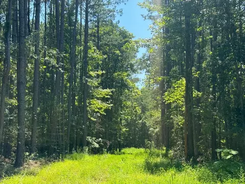 0000 Nc 3015, Jasper, AR 72641 photo 2