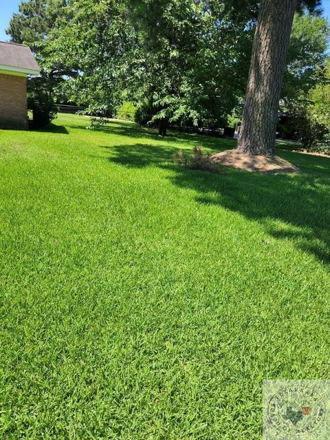 1125 Westside Dr, Ashdown, AR 71822 photo 4