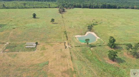 87 Mc 154, Doddridge, AR 71834 photo 3