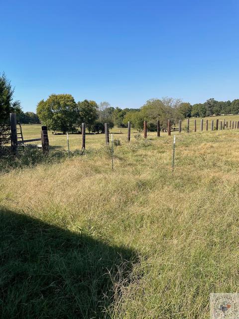 1589 Goodwin Rd, Hooks, TX 75561 photo 6