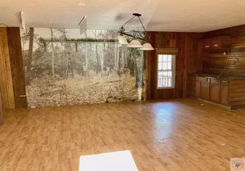302 Pine Bluff Road Karnack Tx 75661, Karnack, TX 75661 photo 3