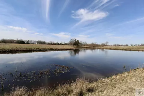 451 Fm 1699, Avery, TX 75554 photo 29