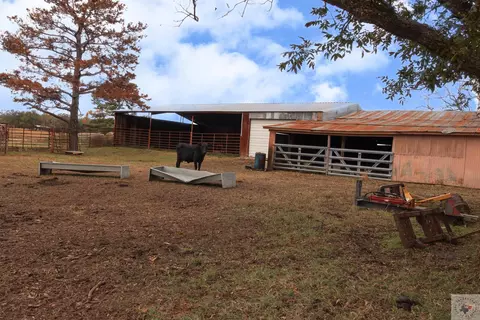 451 Fm 1699, Avery, TX 75554 photo 18