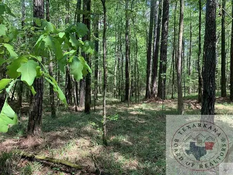 tbd Cr 3562 Queen City Tx 75572, Queen City, TX 75572