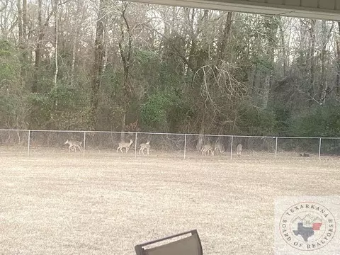 159 Weatherby Dr Hooks Tx 75561, Hooks, TX 75561 photo 30
