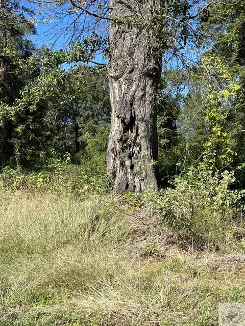 409 Glass Atlanta Tx 75551, Atlanta, TX 75551