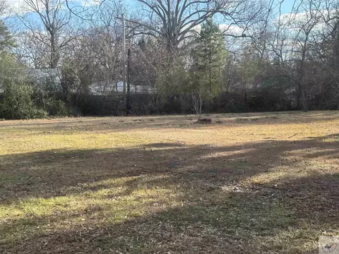 114 Roosevelt Hooks Tx 75503, Hooks, TX 75503 photo 4