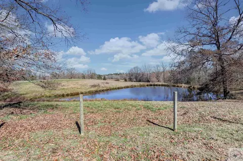659 Billstown Rd Delight Ar 71940, Delight, AR 71940 photo 3