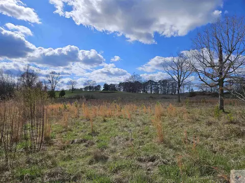 tbd Billstown Rd Delight Ar 71940, Delight, AR 71940 photo 3