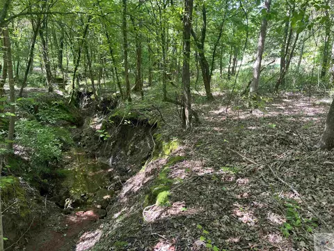 1116 Hempstead 7 Hope Ar 71801, Hope, AR 71801 photo 9