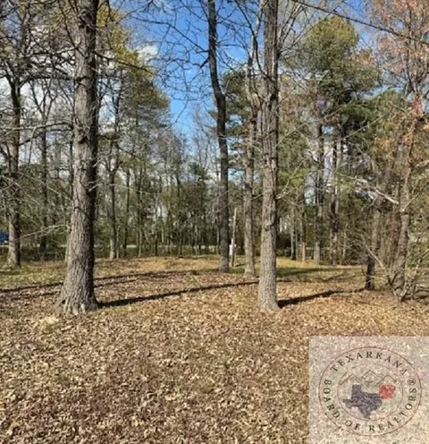 1103 E Ave I, Hooks, TX 75561 photo 1
