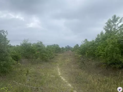 tbd Cr 3217 Atlanta Tx 75551, Atlanta, TX 75551
