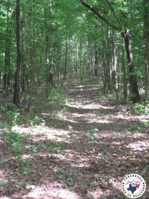 tbd Mc 22 Genoa Ar 71854, Genoa, AR 71854