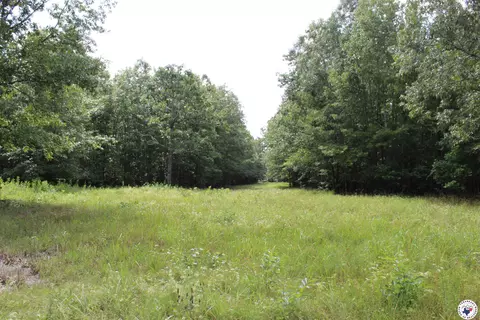 tbd Cr 4670 Dekalb Tx 75559, Dekalb, TX 75559