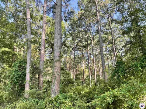 tbd Cr 1112 Atlanta Tx 75551, Atlanta, TX 75551