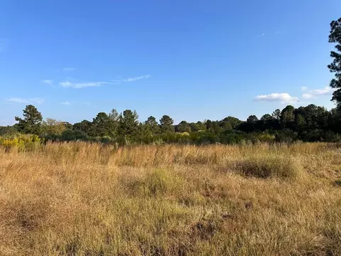 tbd Cr 4210 Simms Tx 75574, Simms, TX 75574