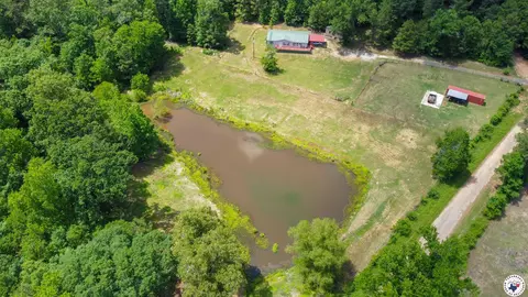 3388 County Road 4223 Bivins Tx 75555, Bivins, TX 75555