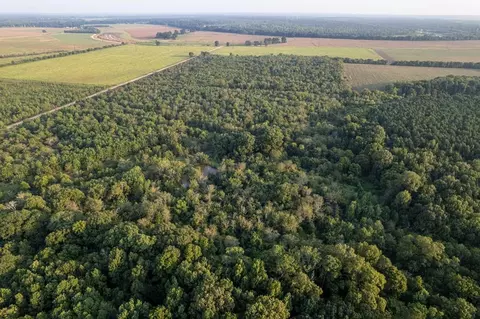 tbd Little River 35 Ogden Ar 71822, Ogden, AR 71822