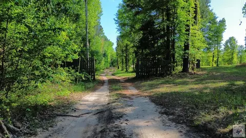 310 Shell Dr Texarkana Ar 71854, Texarkana, AR 71854