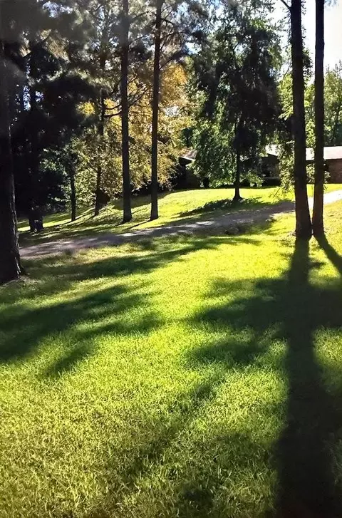 217 Southlake Rd Saratoga Ar 71859, Saratoga, AR 71859